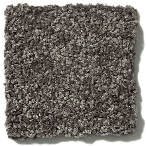 Queen Point Guard 15' Barn Beam 00740