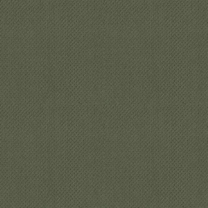 Soft Shades Truly Relaxed Loop Nylon Bay Laurel 00351