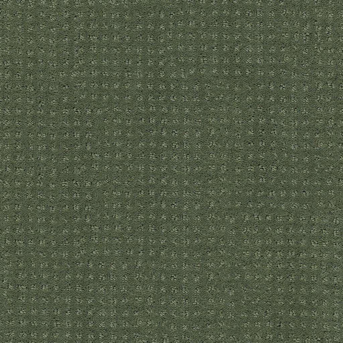 My Choice Pattern Nylon Bay Laurel 00351