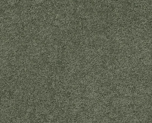 My Style 3 Bay Laurel 00351