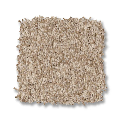 Bossa Nova Beach Grass 00223