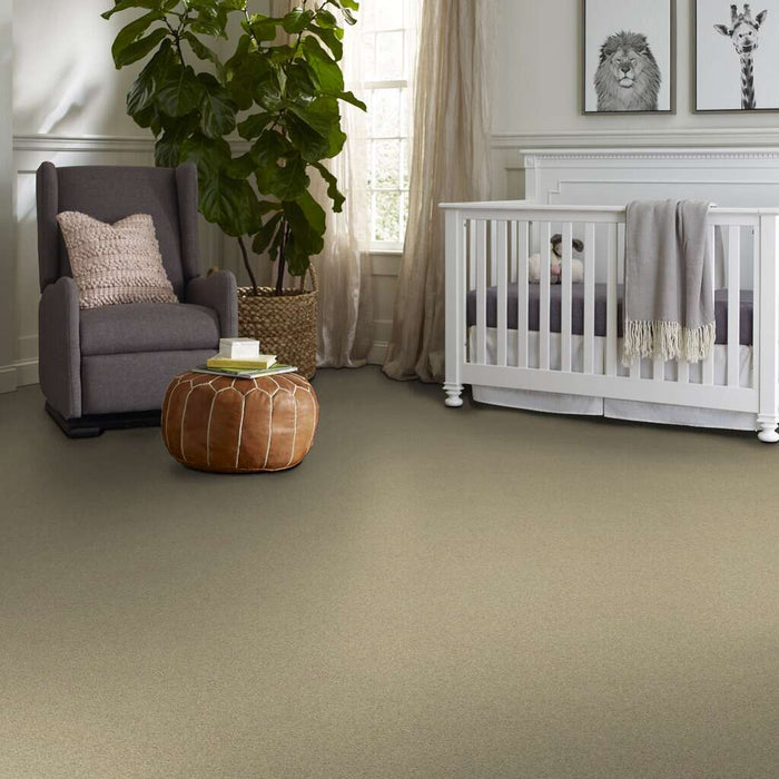 Shaw Floor Studio Around The House I Beach Walk 00126 Textured Nylon