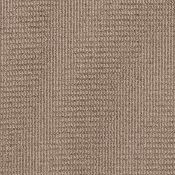 Pet Perfect Plus Chic Elevation Polyester Beige Bisque 00110