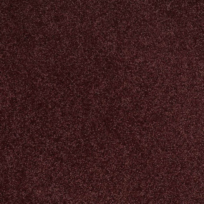 Shaw Floor Studio Tip Of The Hat Nylon Berry 00810