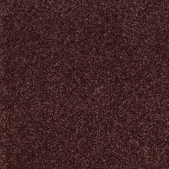 Shaw Floor Studio Gelato Nylon Berry 00810