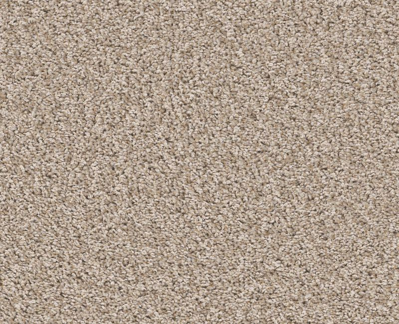 Shaw Color Moxie 00100 Biscotti Textured Polyester Carpet — Stone
