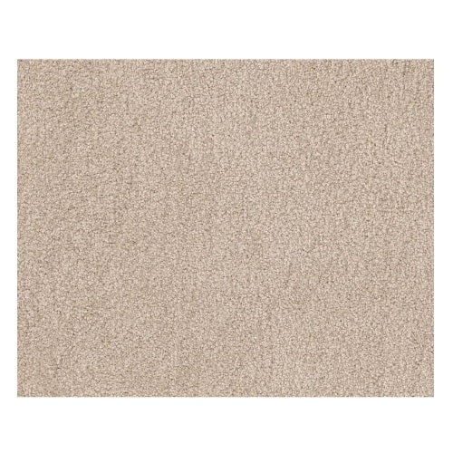 Shaw Take The Floor Texture Blue 00131 Biscotti Textured Nylon Carpet