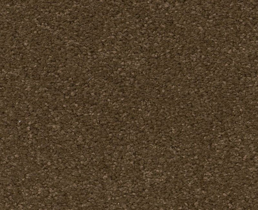 Pelotage IV Bison 00707