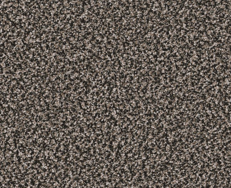 Color Moxie Black Granite 00503