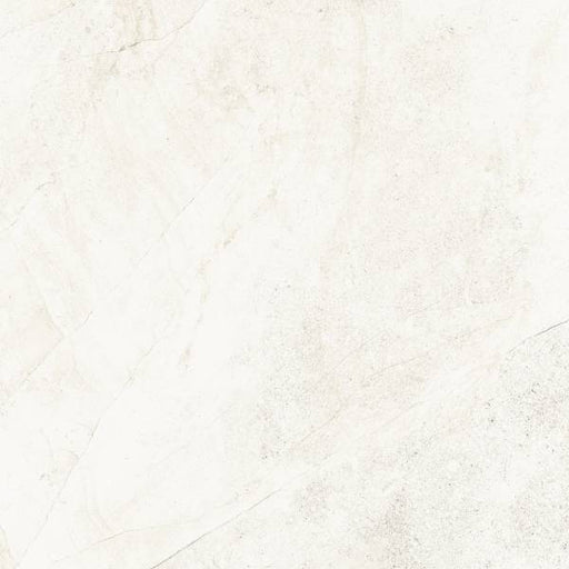 Blended White Matte Porcelain Tile - 12" x 24"