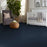 Shaw Floor Studio Home News I 15' Blue Macaw 00401 Textured Polyester