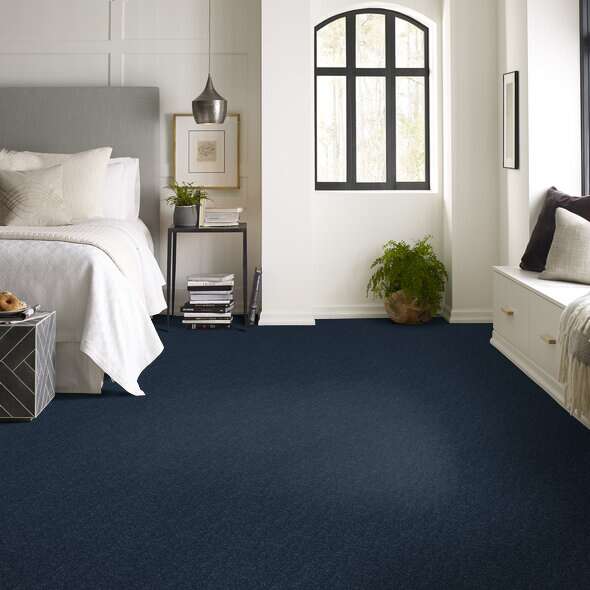 Shaw Floor Studio Home News I 12' Blue Macaw Textured 00401