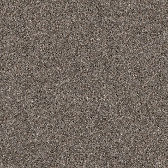 Simply The Best Absolutely It Polyester Boulder 00501