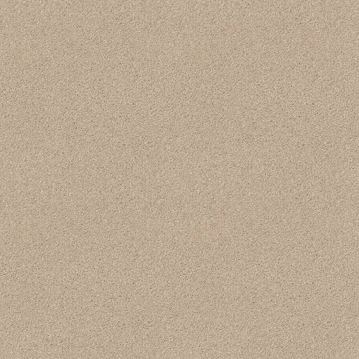 Foundations Always Ready I Nylon Boutique 00191