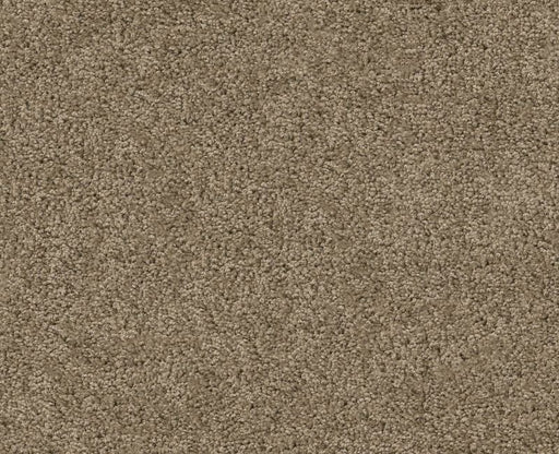 Orlando PV Briar 00764
