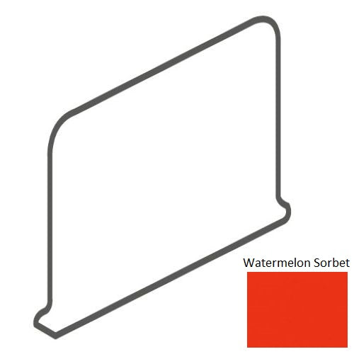 Bright & Matte Watermelon Sorbet Q070