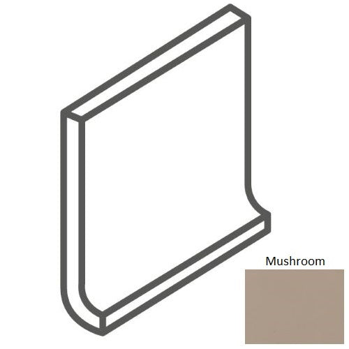 Bright & Matte Mushroom 0038