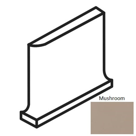 Bright & Matte Mushroom 0038