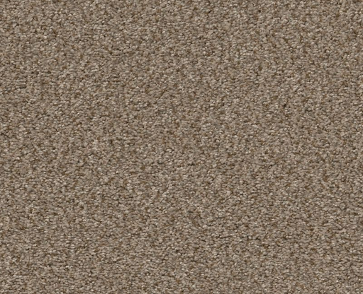 Marina I Brown Reed 00751