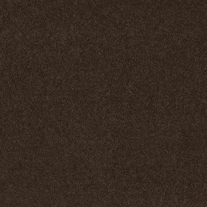 Everyday Comfort (S) Nylon Brown Sugar 00708