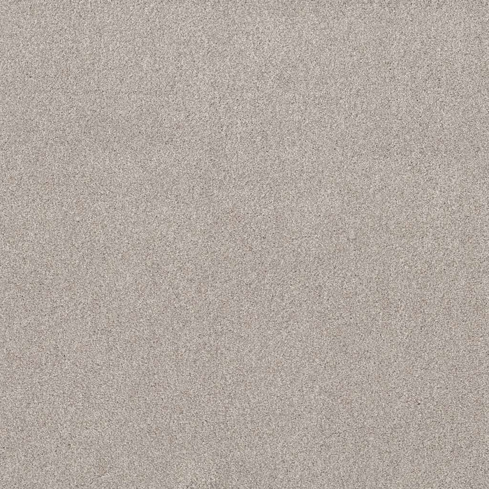 Foundations Live On Comfort Nylon Brushed Aluminu 00148