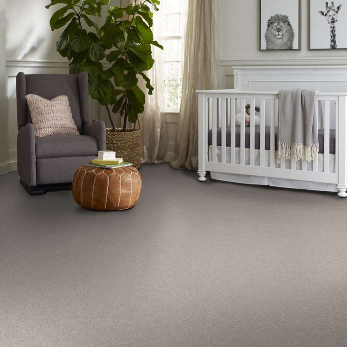 Foundations Live On Comfort Brushed Aluminu 00148 Textured Nylon