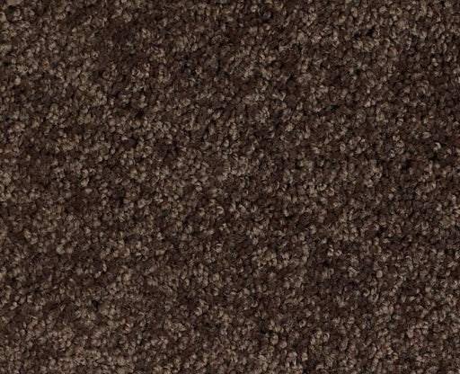 Orlando PV Buckeye 00769