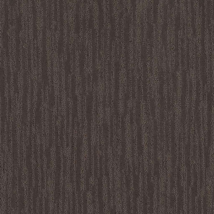 Caress By Shaw On The Horizon Nylon Burma Brown 00752