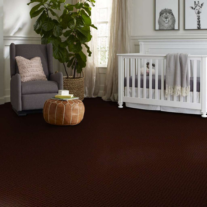 Shaw Floor Studio Best Hope Burnt Ember 00601 Pattern Nylon