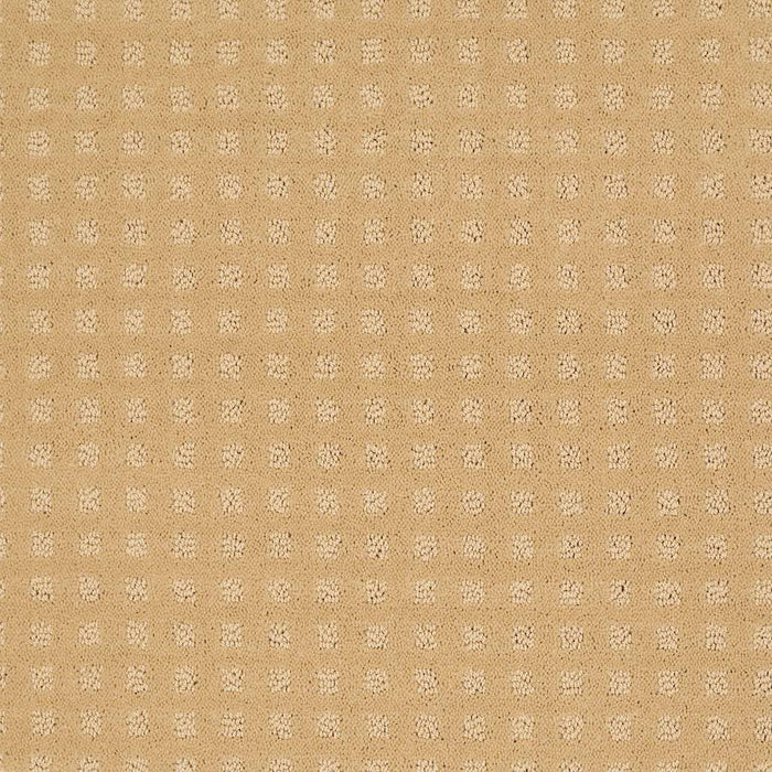 Shaw Floor Studio Style With Ease Nylon Butter Cream 00200