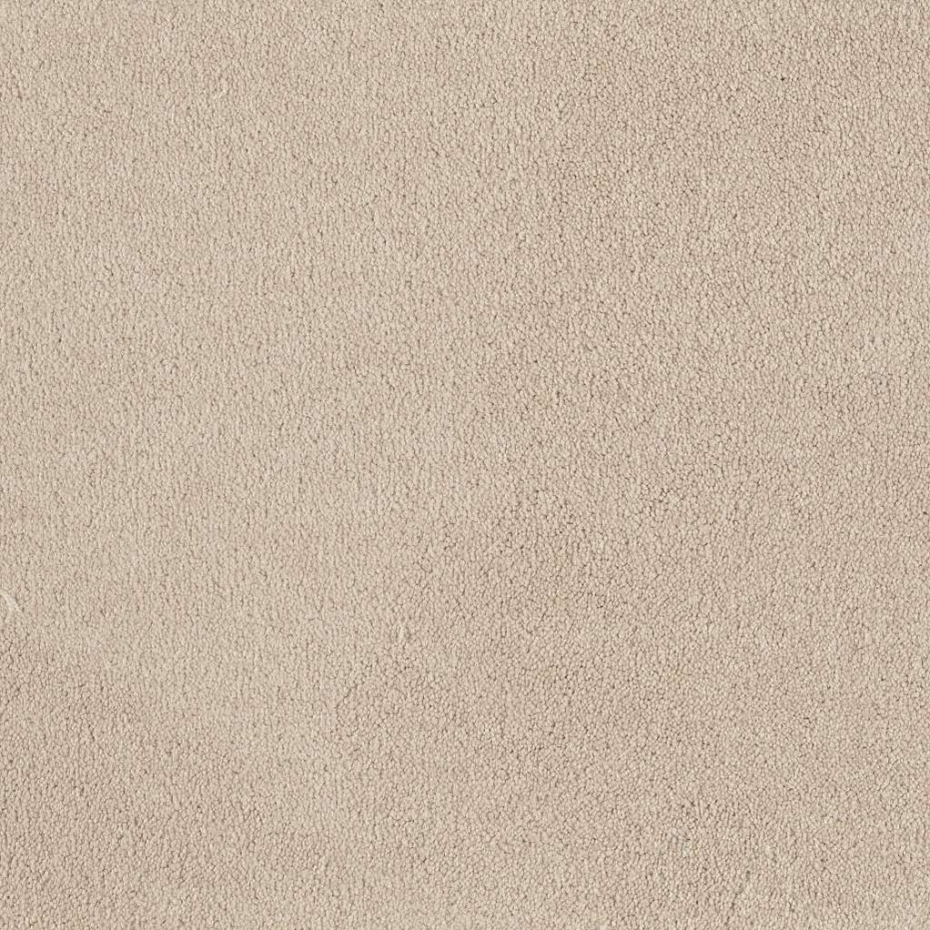 Shaw Everyday Comfort (s) 00111 Buttermilk Textured Nylon Carpet 