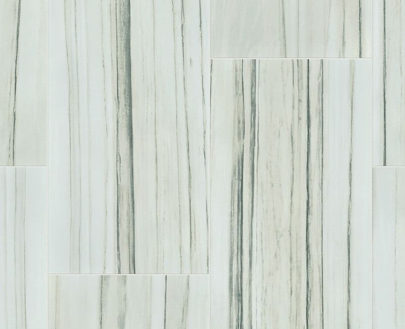 Casino Zebrino 00155