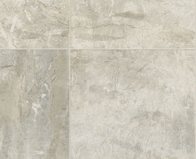 Zenith Tile Shaw Zenith 00500 Gray Smooth Porcelain Tile | Lowest Price — Stone ...