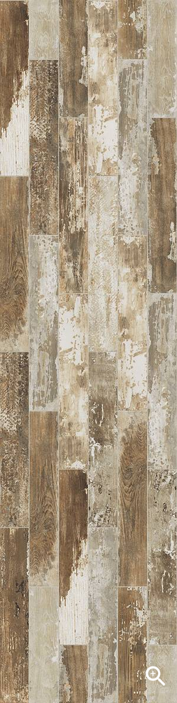 Timbered American Elm 00170