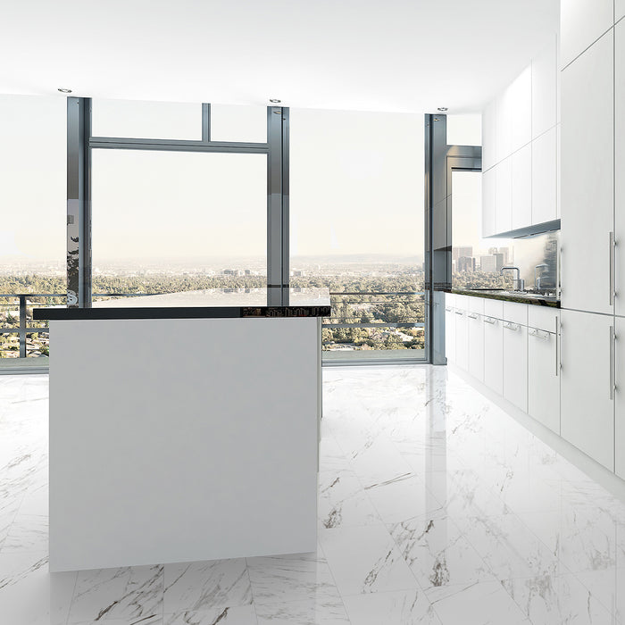 Classics Carrara CTCLCAR12241L Polished Porcelain