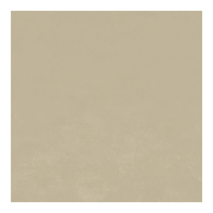 Carrollton Porcelain Sand CTFL06910HEX1P