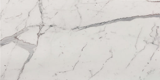 Venetian Calacatta Marble Tile - Honed