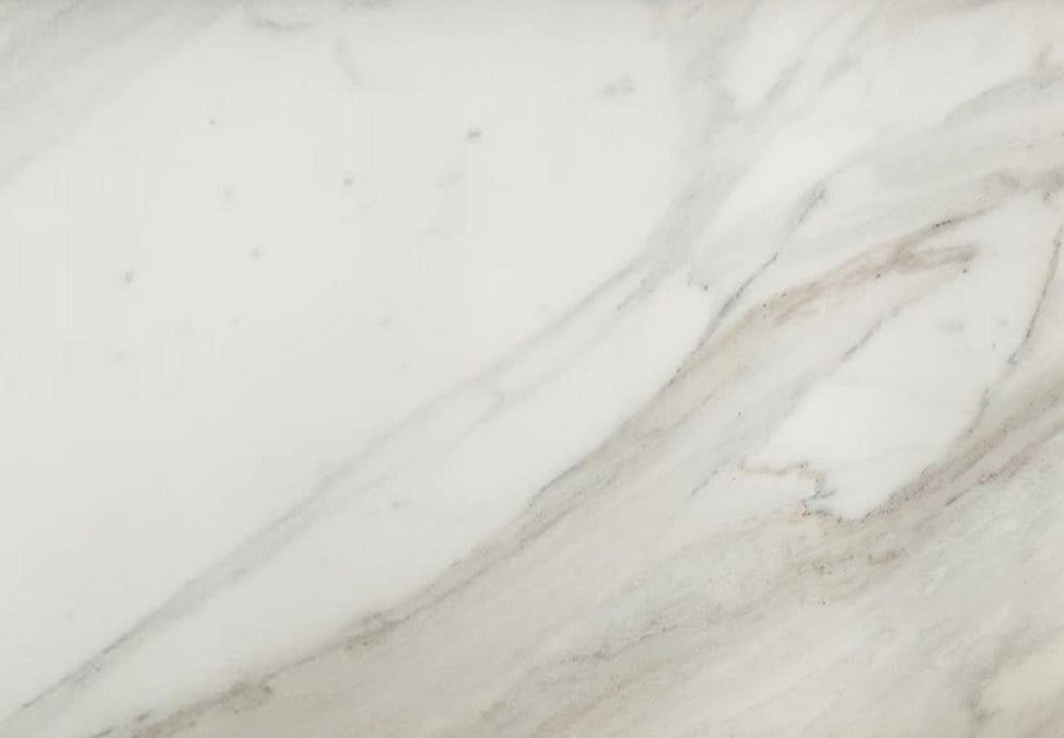 Full Tile Sample - Calacatta Paonazzo Marble Tile - 12" x 12" x 3/8" Polished