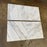 Calacatta Gold Honed Marble Tile - 18" x 18" x 3/8"