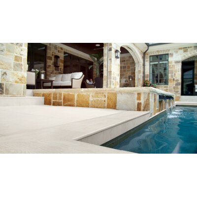 Arterra Caldera Blanca LCOPNCALBLA1324 Matte Porcelain
