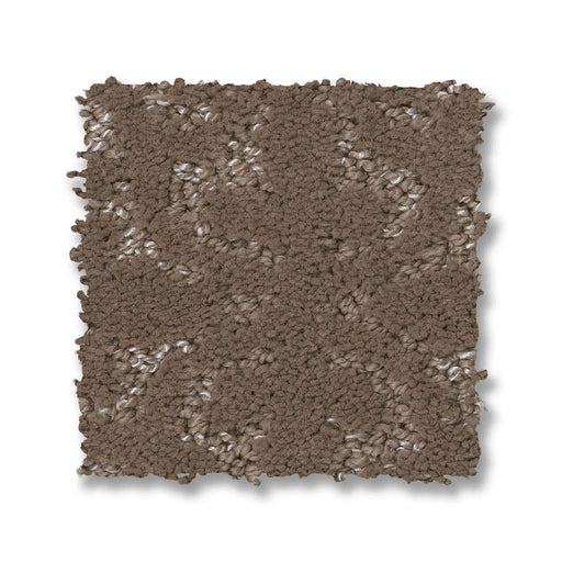 Pet Perfect Plus Light Impressions Cameo 00113
