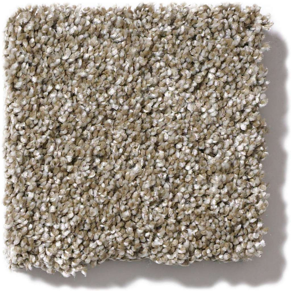 Shaw Simply The Best Of Course We Can II 15' 00103 Cameo Carpet — Stone