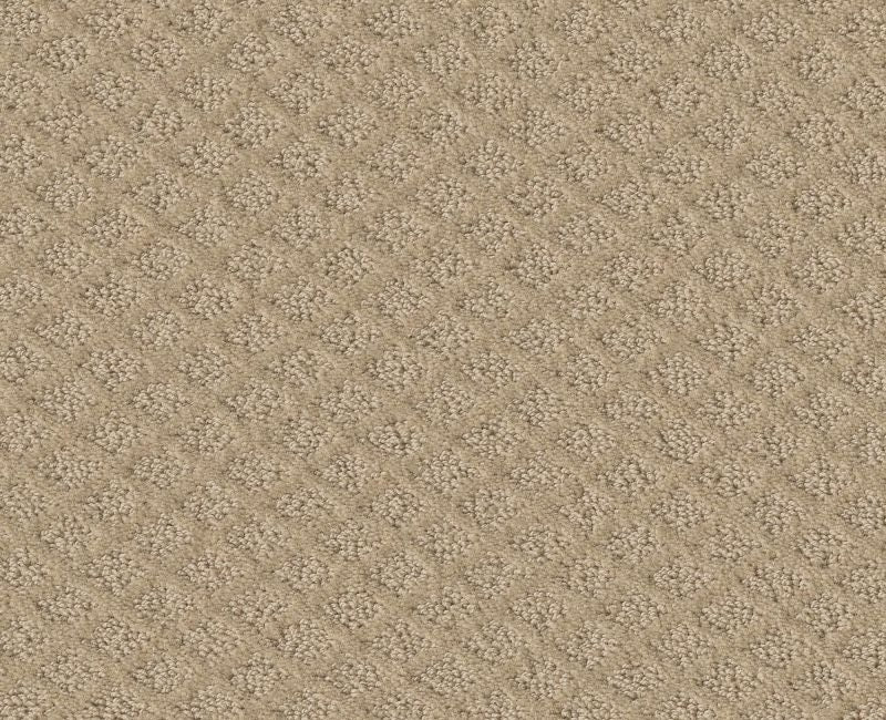 Shaw Stay Strong 00122 Cameo Pattern Nylon Carpet | Lowest Price ...