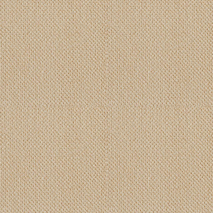 Soft Shades Truly Relaxed Loop Nylon Candlewick Glow 00101