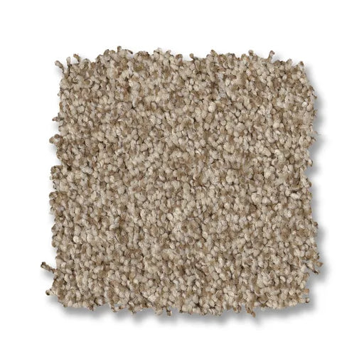 Classics Terra Nova Canvas 00233