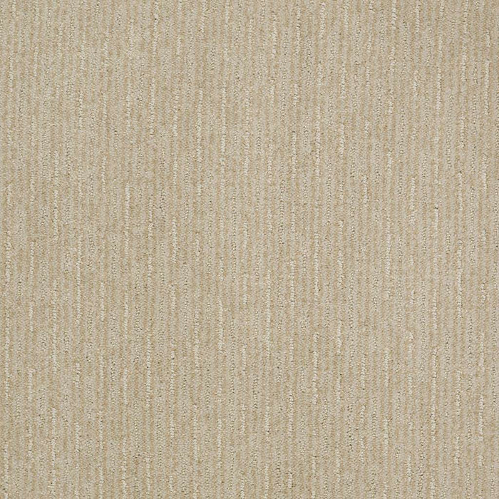 Speed Of Light Nylon Canvas 00103