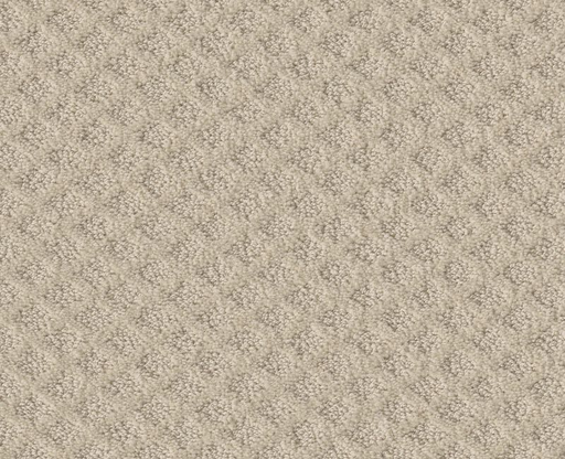 Born To Run Canvas 00103