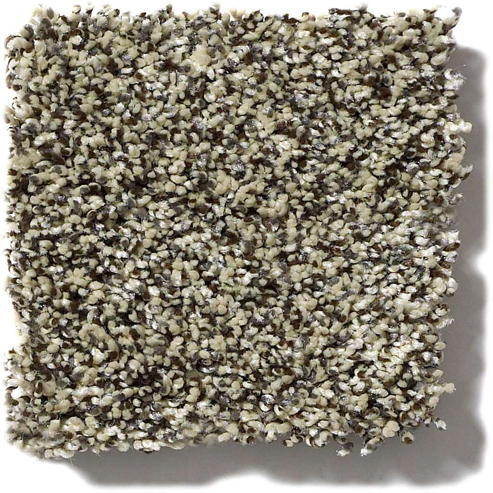 Shaw Simply The Best Because We Can III 15' 00102 Cape Town Carpet