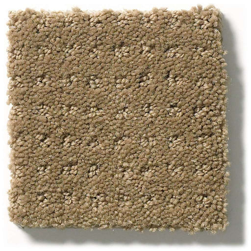 My Choice Pattern Cappuccino 00756