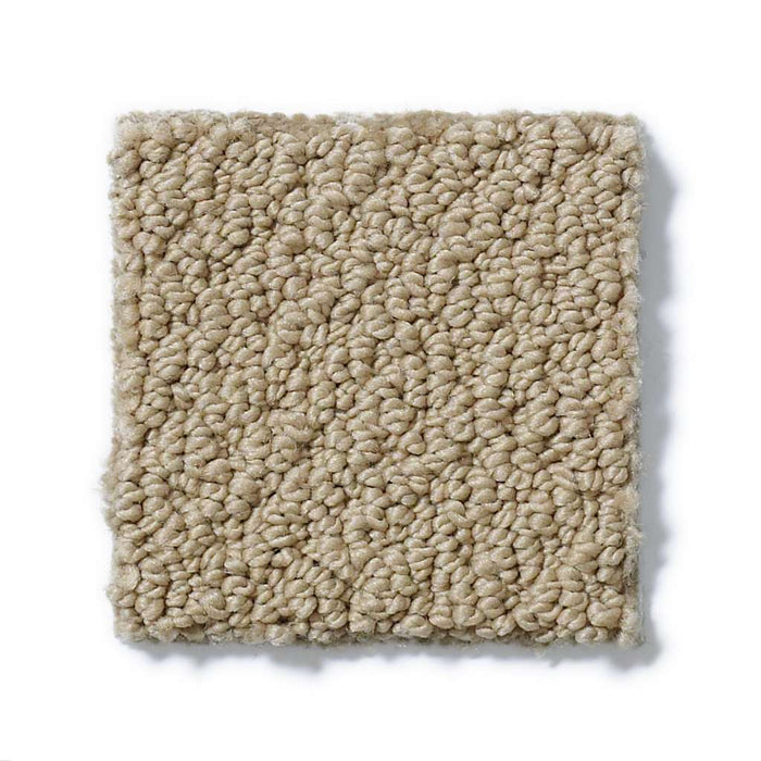 Shaw Soft Shades Truly Relaxed Loop 00756 Cappuccino Loop Nylon Carpet ...